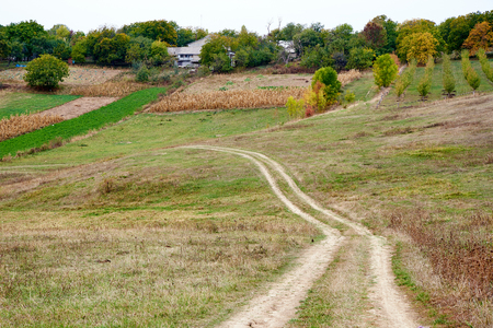 Country road. Rural landscape scene.の写真素材