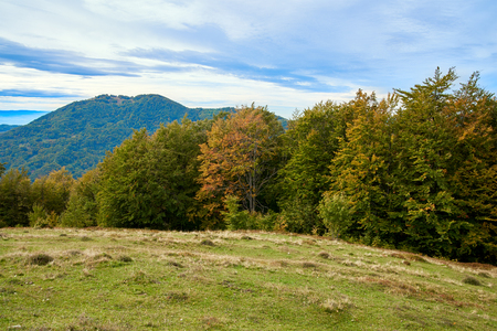 Mountain landscape with clouds and colorful trees. Alps.の写真素材