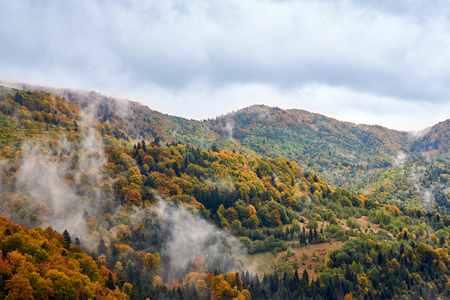 Mountain landscape with clouds and colorful trees. Alps.の写真素材