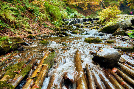 Mountain stream river with rapids and logs in autumn forestの写真素材