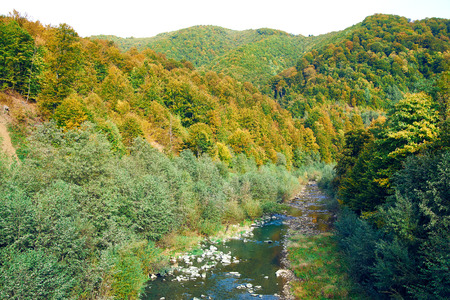 Mountain blue river in deep canyon with autumn colorful treesの写真素材