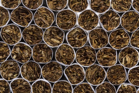 several Cigarette isolated on a white background