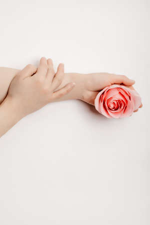 Beautiful hands of a woman holding a rosebud lying on a white background. concept of skin care, moisturizing and reducing wrinklesの写真素材