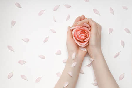 Beautiful hands of a woman holding a rosebud lying on a white background. concept of skin care, moisturizing and reducing wrinklesの写真素材