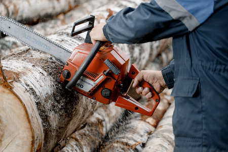 KIROV, Russia - 09.10.2020. Husqvarna 40 Chainsaw. Man saws a log with a chainsaw, prepares firewood...