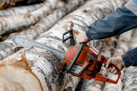 KIROV, Russia - 09.10.2020. Husqvarna 40 Chainsaw. Man saws a log with a chainsaw, prepares firewood for winter, hard rural workのeditorial素材