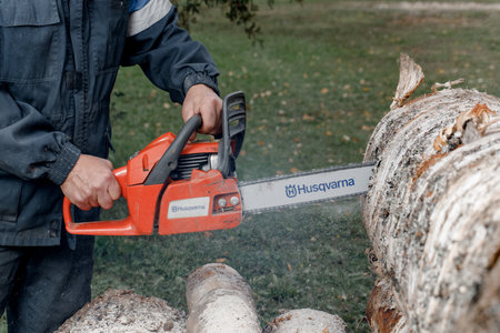 KIROV, Russia - 09.10.2020. Husqvarna 236 Chainsaw. Man saws a log with a chainsaw, prepares...