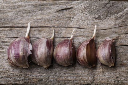 Garlic on the vintage wooden tableの写真素材