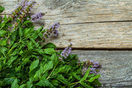 Fresh spearmint on the vintage wooden tableの写真素材