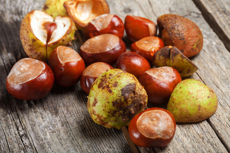 Chestnut on the vintage wooden tableの写真素材