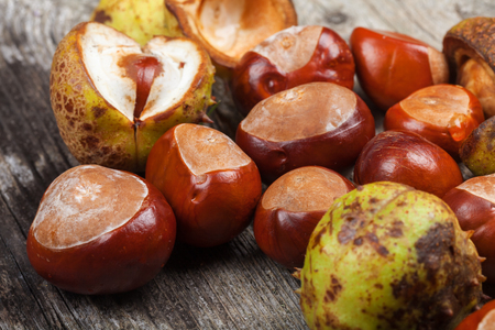 Chestnut on the vintage wooden tableの写真素材