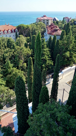 view from the window 2