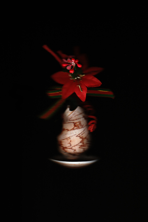 Decorative vase shells with red flowerの写真素材