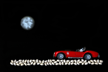 dog rides on the red car with the moon on gravel