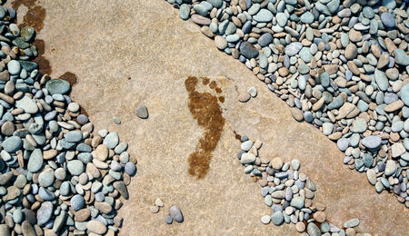 wet footprint on a hot stone and pebblesの写真素材