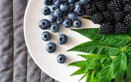 Still life of blueberries and blackberries on a white plate with green leafの写真素材