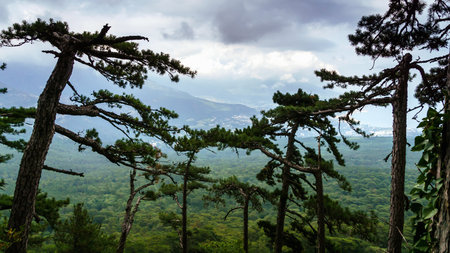 view of Yalta on a cloudy day on the background of the Seine from the observation deckの写真素材