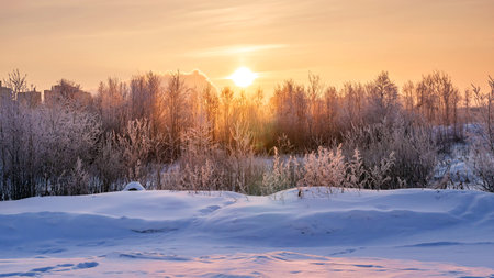 dawn on a snow-covered field amid grass 2