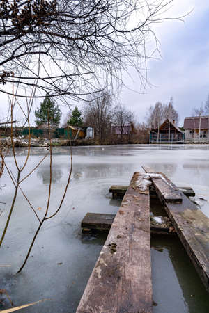 grass with a song of snow against the background of the lakeの写真素材