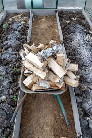 a pile of freshly chopped firewood liesの写真素材