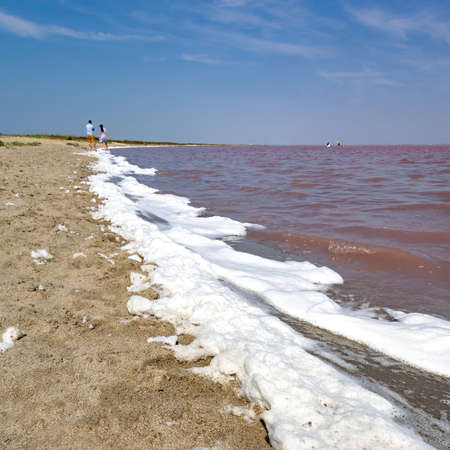 wide-angle panorama of the pink lake Sasyk-Sivash in the western Crimea