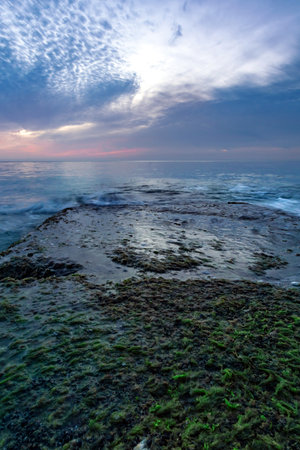 An old breakwater in seaweed on the background of a sea sunset in Adlerの写真素材