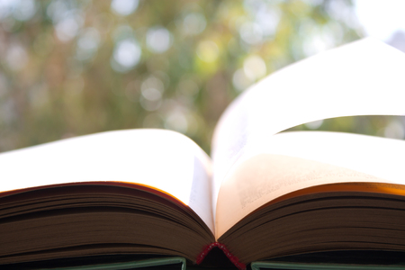 open book on background of foliageの写真素材