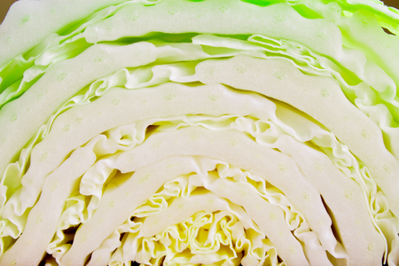 chinese cabbage textureの写真素材