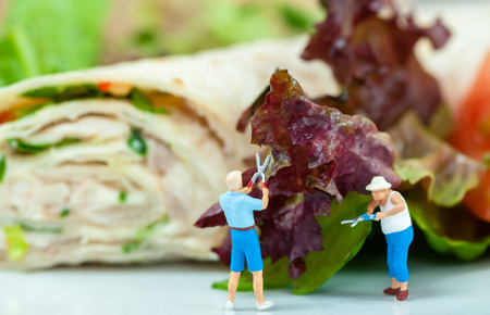 Tiny people cutting salad