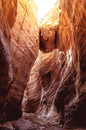 Avakas Gorge. Paphos District, Cyprusの写真素材