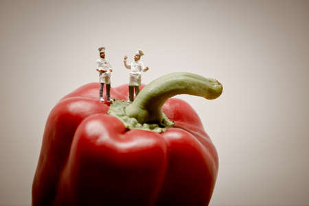 Chefs talking. Macro photo.の写真素材