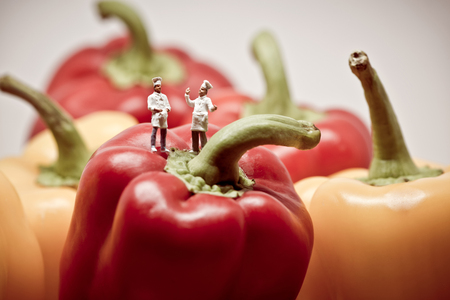 Two chefs debating over bell peppers. Macro photo.の写真素材