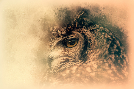 The Bengal Eagle-Owl sketch. Digital illustrationの写真素材