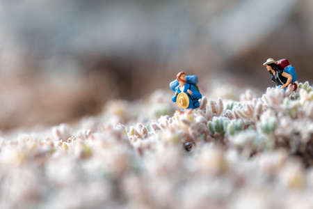 Miniature hiker couple in a meadow. Macro photoの写真素材