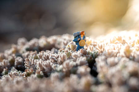 Hiker with backpack exploring a meadow during sunsetの写真素材