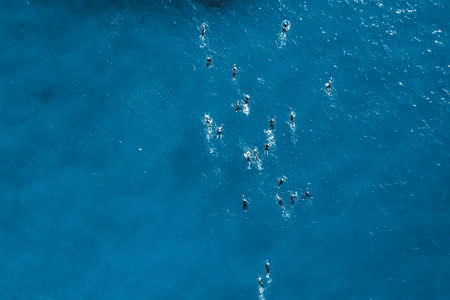 Topdown view of swimmers during open water competitionの写真素材