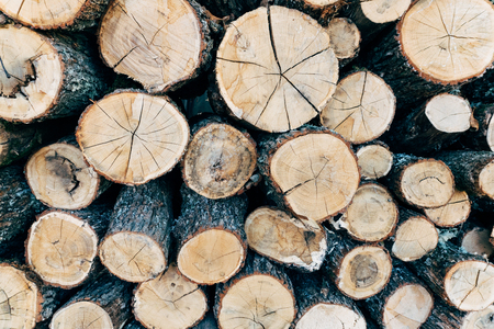 Background of a big pile of wooden logs. Stock for the winter.の写真素材