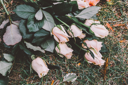 floral party decorations. Design wedding and children's party Design. confectionery, flower bouquets.Film Texture & Unfocusedの写真素材