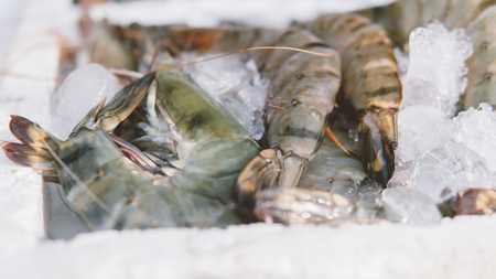 shrimp on local market  close-up shallow focusの写真素材