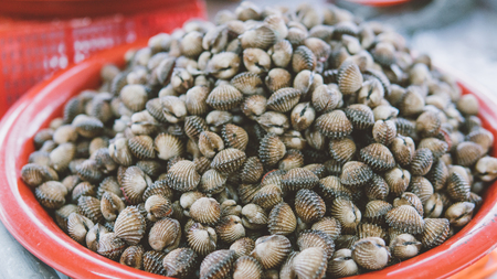 shellfish on the market texture close-up.の写真素材
