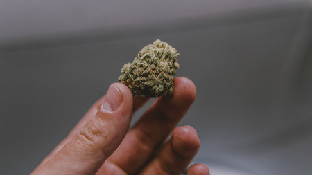 the concept of medical use THC and CBDの写真素材