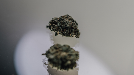 weed buds close-up. Pot, Medical weed,marijuana. Legalize concept. Best concept of medical use THC and CBDの写真素材