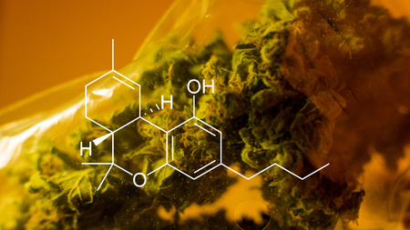 concert of medical marijuana treatment. THC 
element diagram
