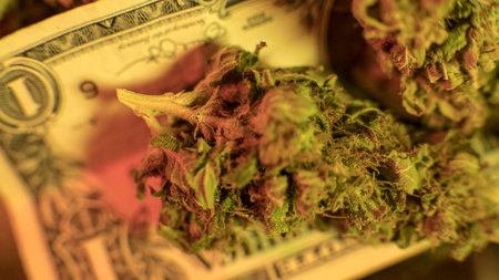 Big medical marijuana buds on the dollars background. Illegal narcotic trafficの写真素材