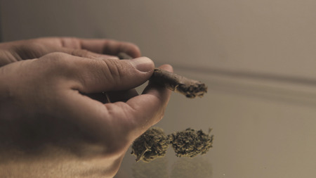 Roll a weed buds blunt in man hands close-up. twisting  jointwith the buds of marijuana inside.の写真素材