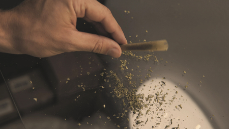 rolling  joint with weed buds close-up. Smoking culture in the worldの写真素材