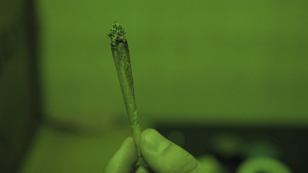 rolling  joint with weed buds close-up. Smoking culture in the worldの写真素材