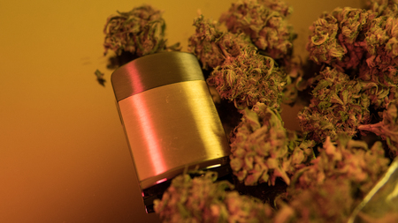 Closeup of trichomes on marijuana. Small business marijuana dispensary in United States.の写真素材