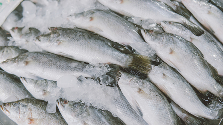 Thai Fish Markets close-up.の写真素材