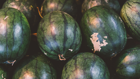 watermelons on the market close-up. Tropical fruits of Thailand and Asiaの写真素材